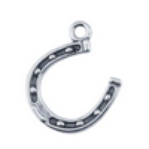 Sterling Silver Horseshoe Pendant - Picture 4 of 16